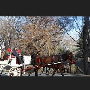 Meet your Posher, Ruby